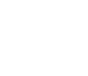 Dr Anupriya Homeopathy_logo